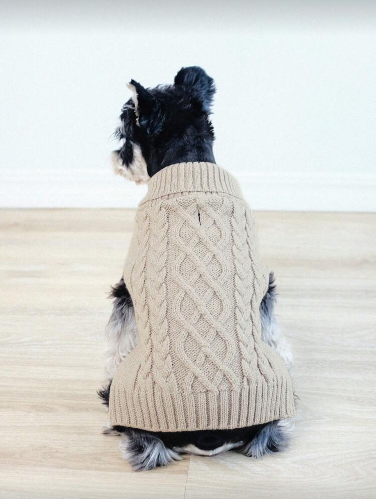 Dog Knit Sweater